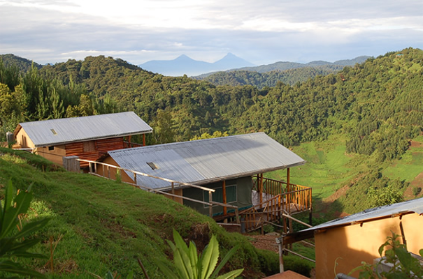 Bakiga Lodge Bwindi