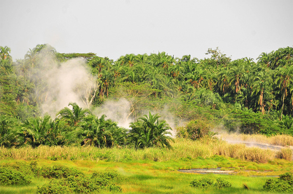 Semliki National Park