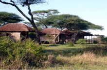 Ikoma Bush Camp