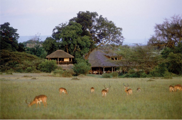 Base Camp Maasai Mara