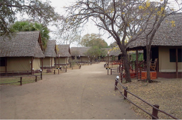 Mbuyu Selous Safari Camp